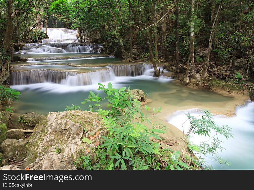 Small Trees on rocks and deep forest waterfall