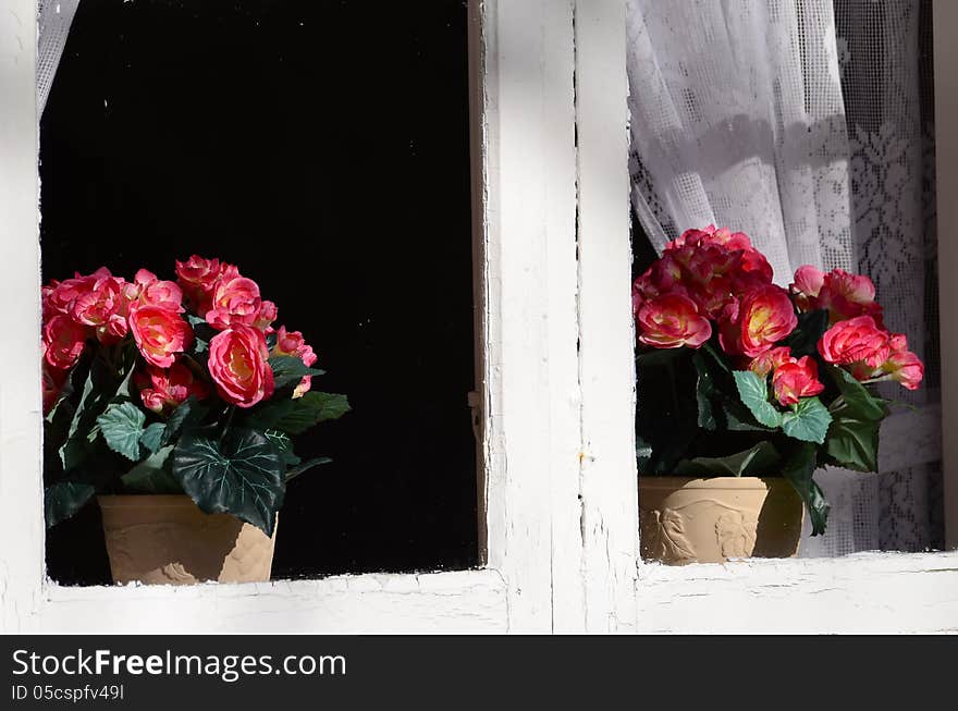 Background old house with windows and flowers