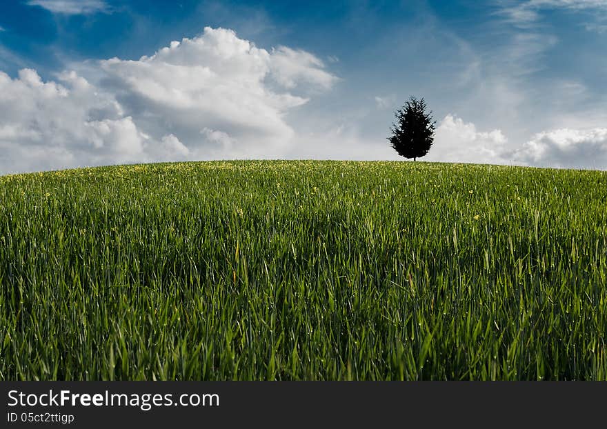 The Val d’Orcia Tuscany