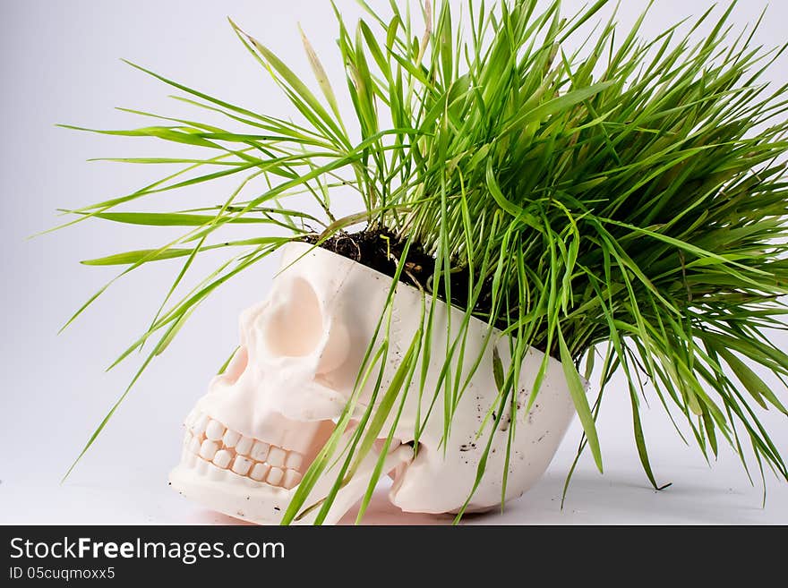 A skull with green grass. A skull with green grass