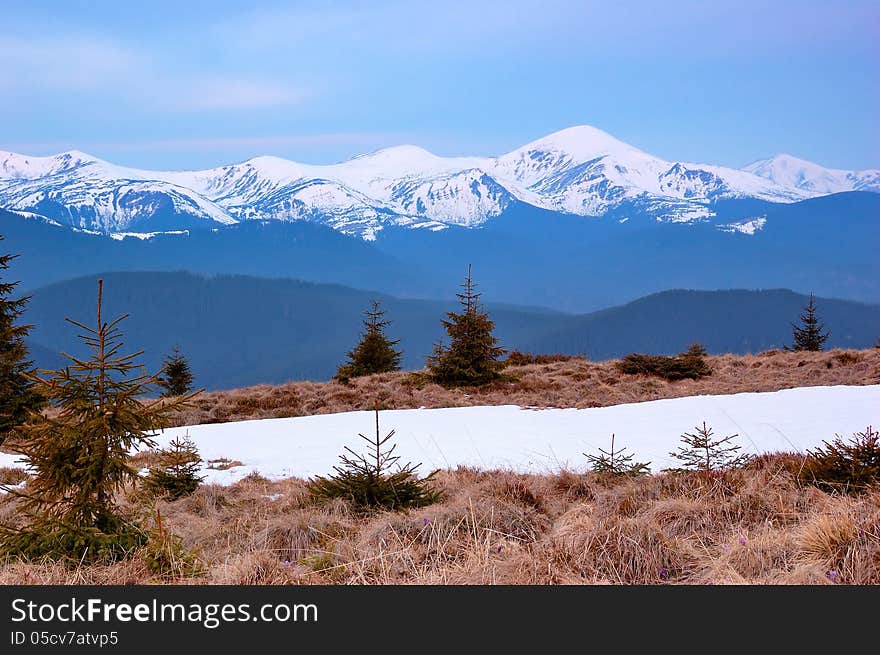 Spring in the Mountains