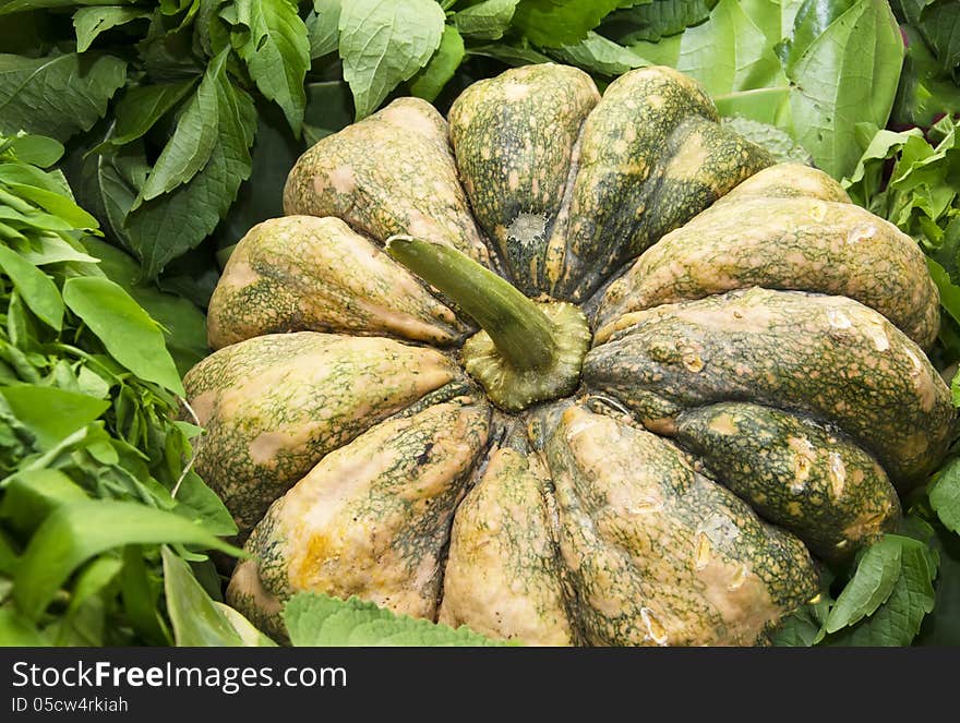 Pumpkin and green leaf in restaurant