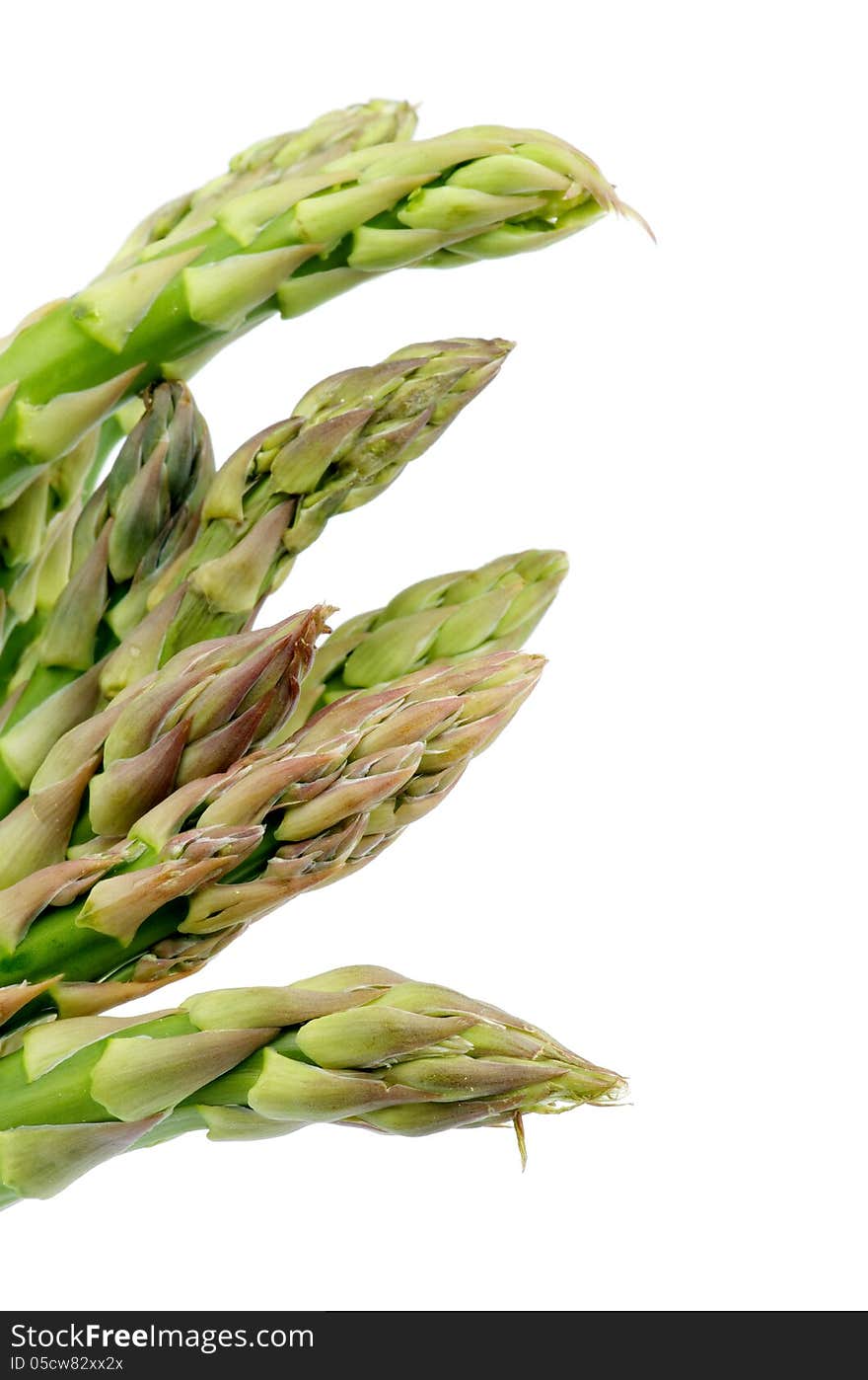 Green and Pink Asparagus Sprouts isolated on white background