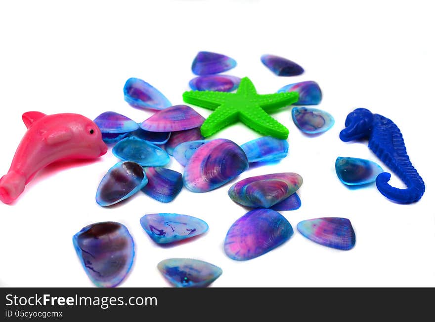 seashells on a white background