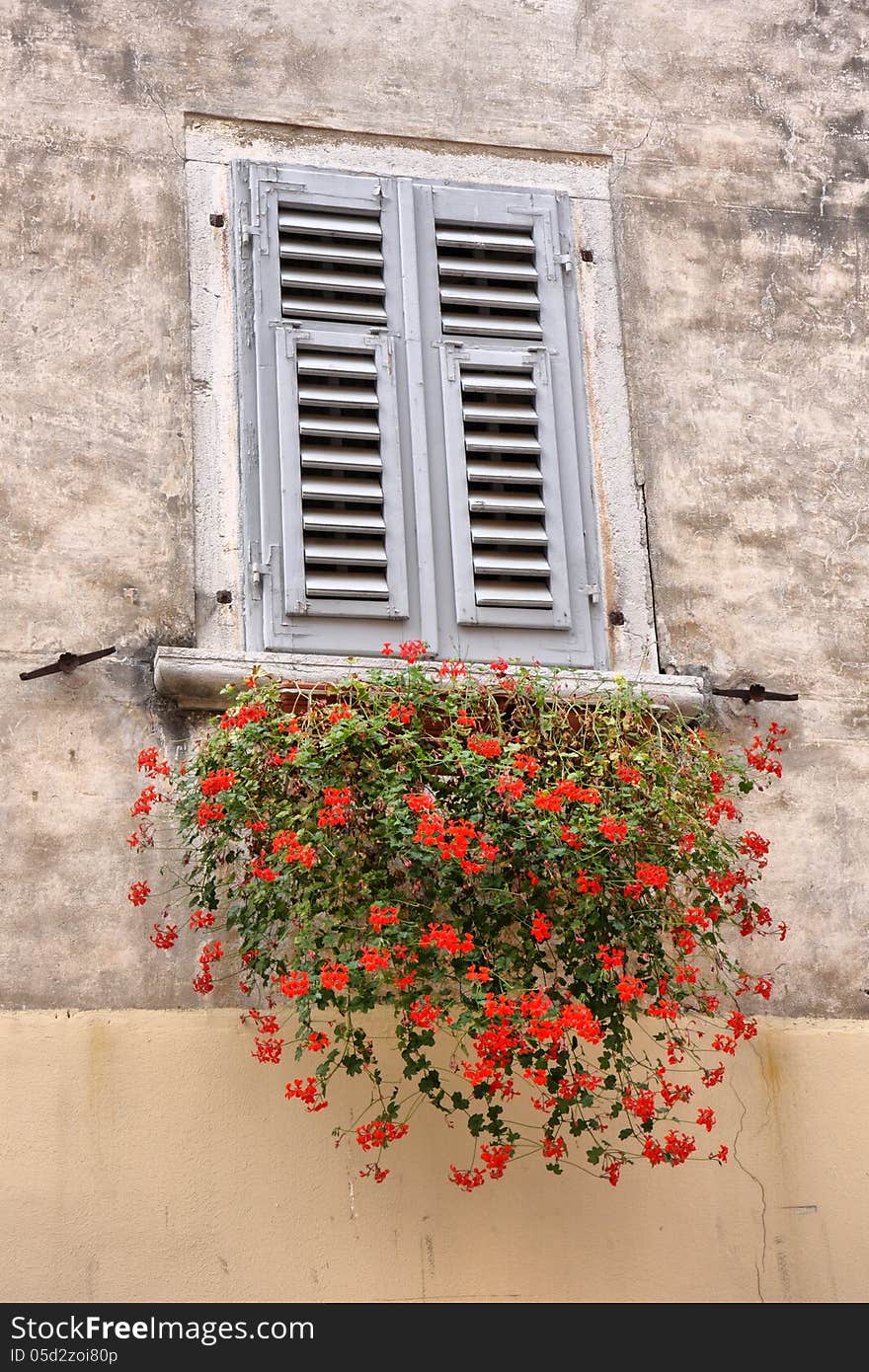 Old window with flowers