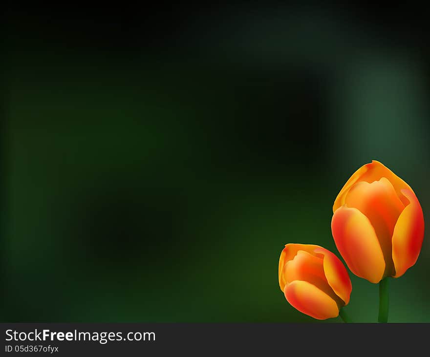 Soft pink bouquet of tulips on blurred bokeh background mesh. Soft pink bouquet of tulips on blurred bokeh background mesh