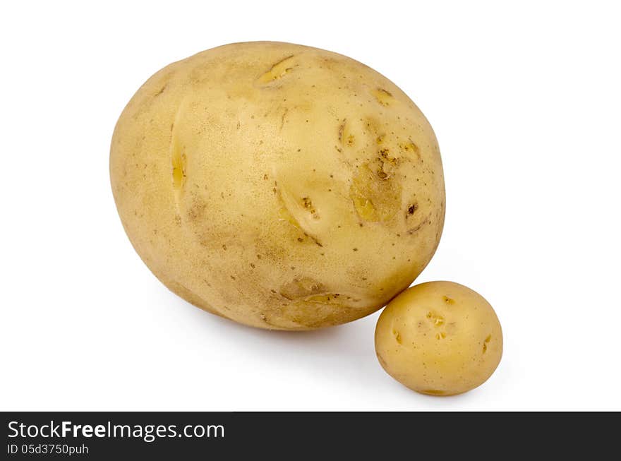 Potato