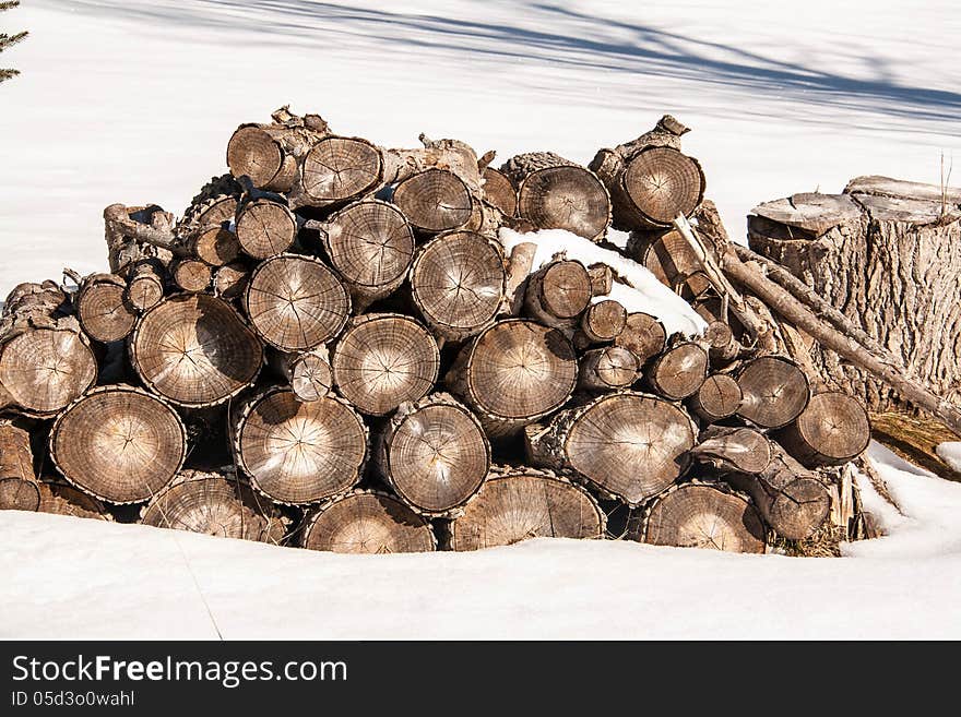 Pile of firewood