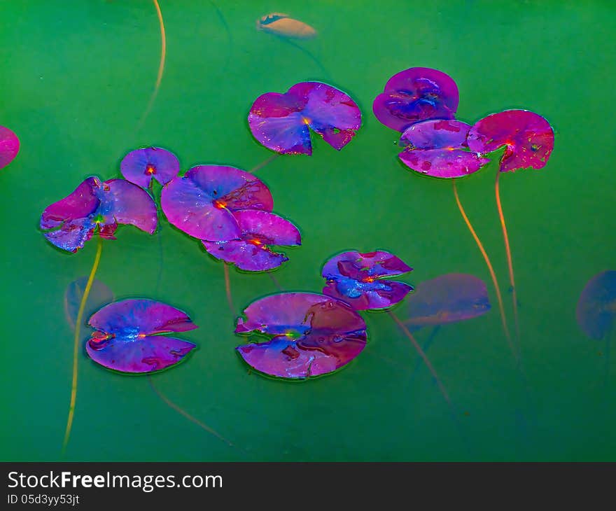 The picture was taken in Daqing wetland park. The picture was taken in Daqing wetland park.