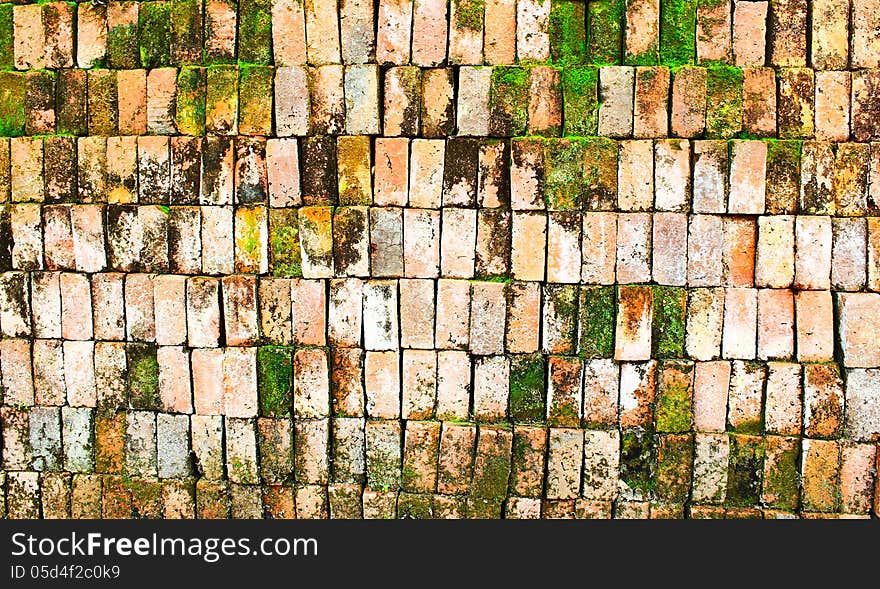 Old Brick wall with moss growing out of it