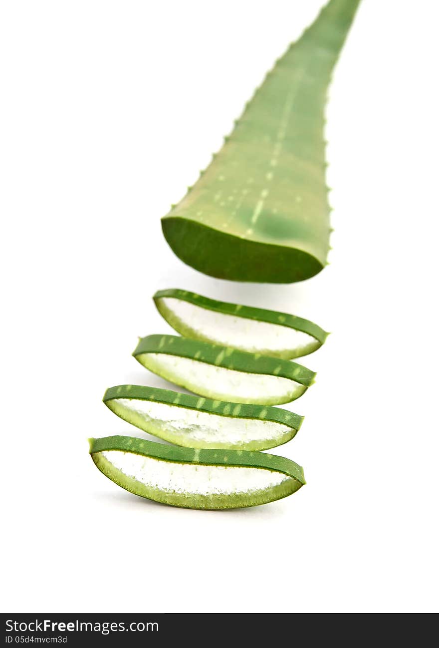 Green Aloe Vera Leaves Isolated