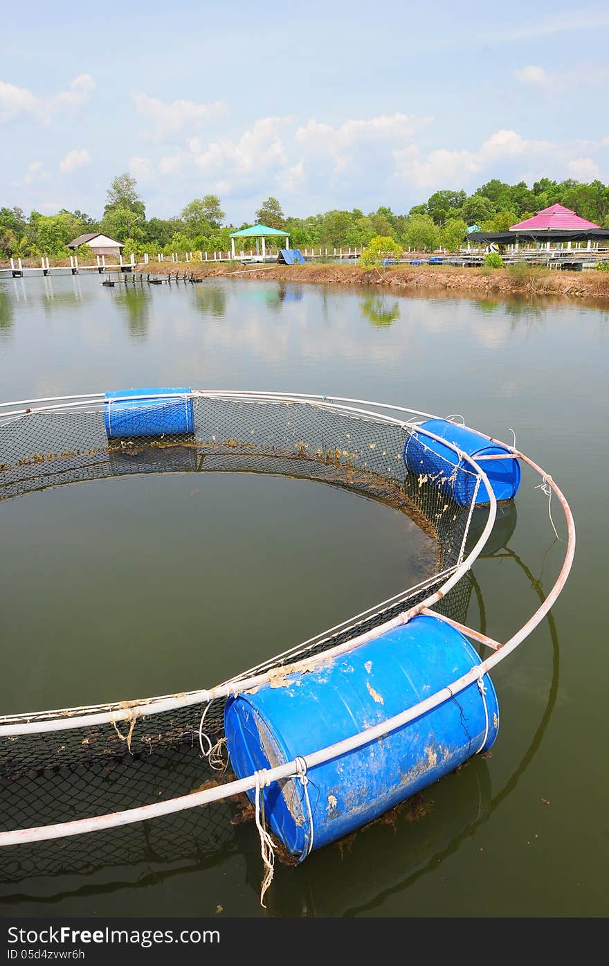 Fish farm net