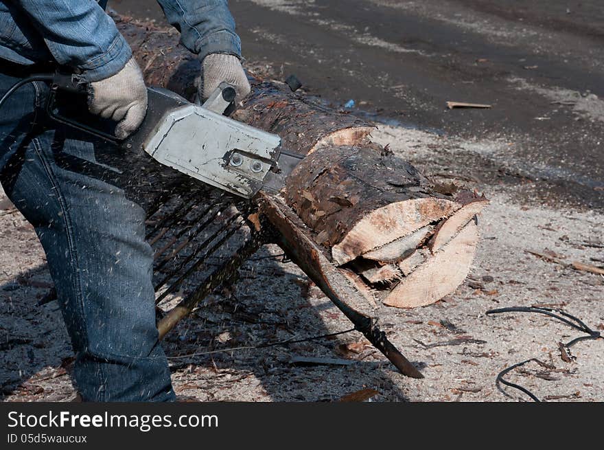 Cutting wood for firewood