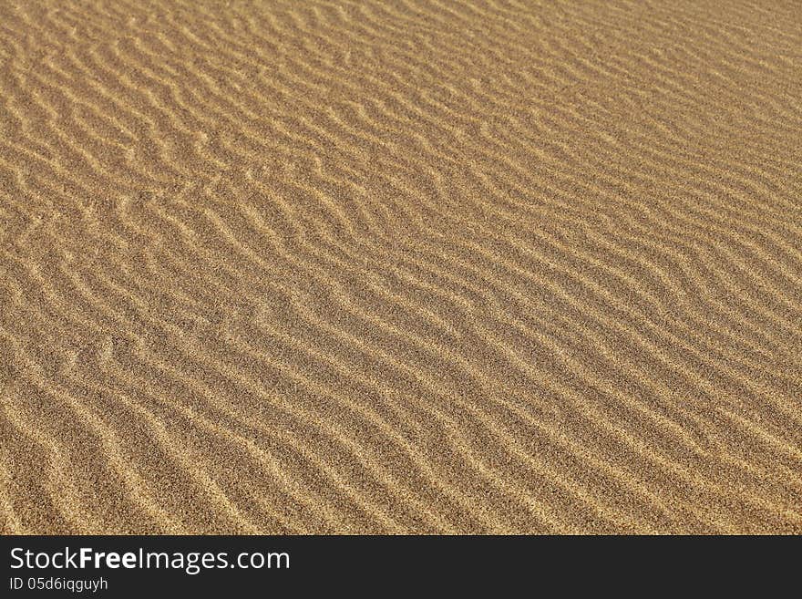 Texture of sand rippled with the wind. Texture of sand rippled with the wind