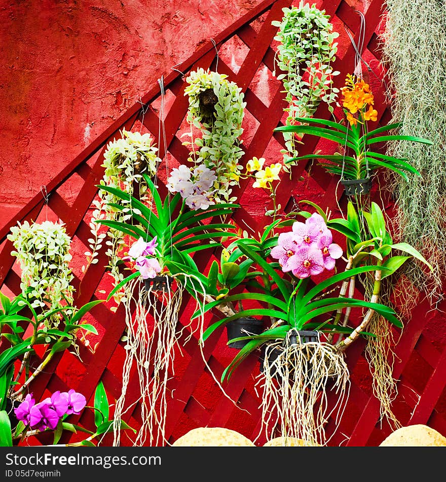 Wall decorated with different tropical orchid flowers