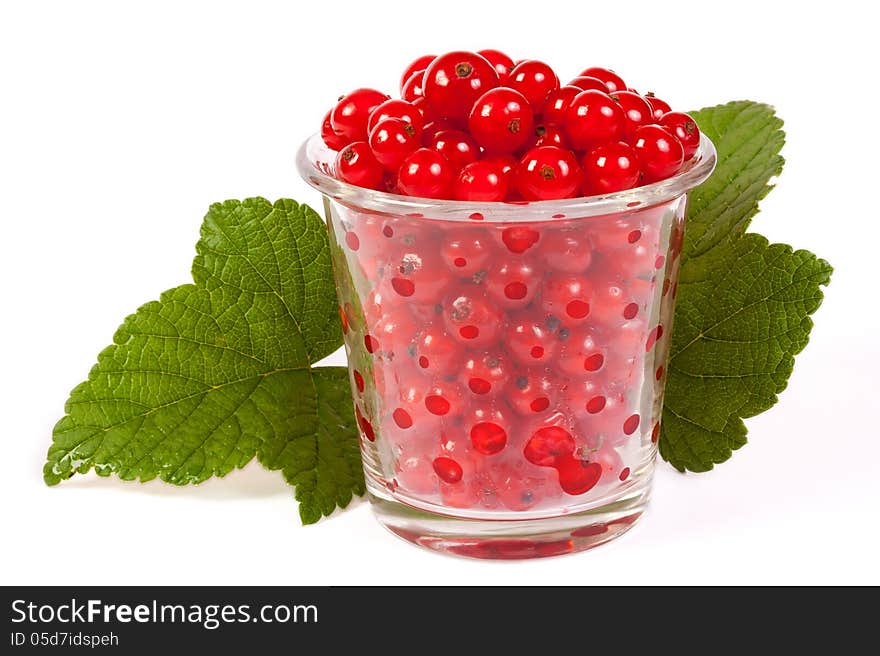 Red currants in a glass with green leaves. Red currants in a glass with green leaves