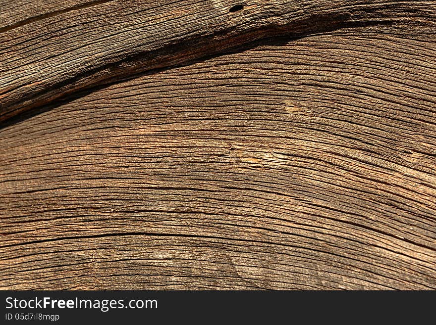 Wood grain abstract