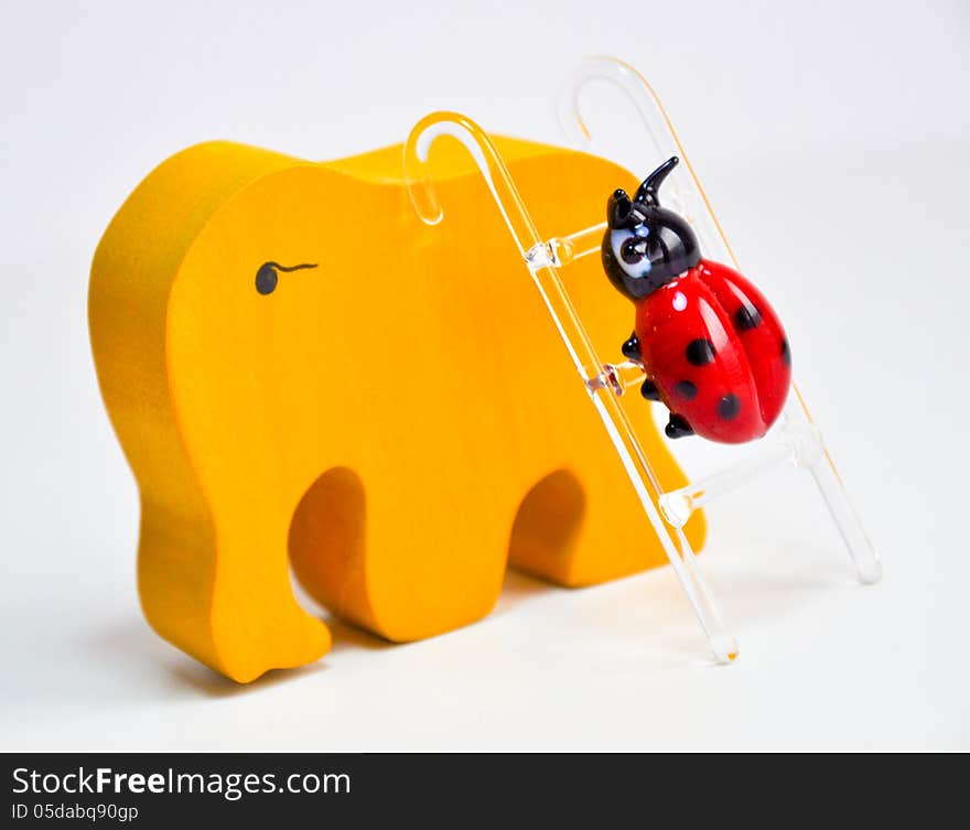 Colorful ladybug climbing an elephant