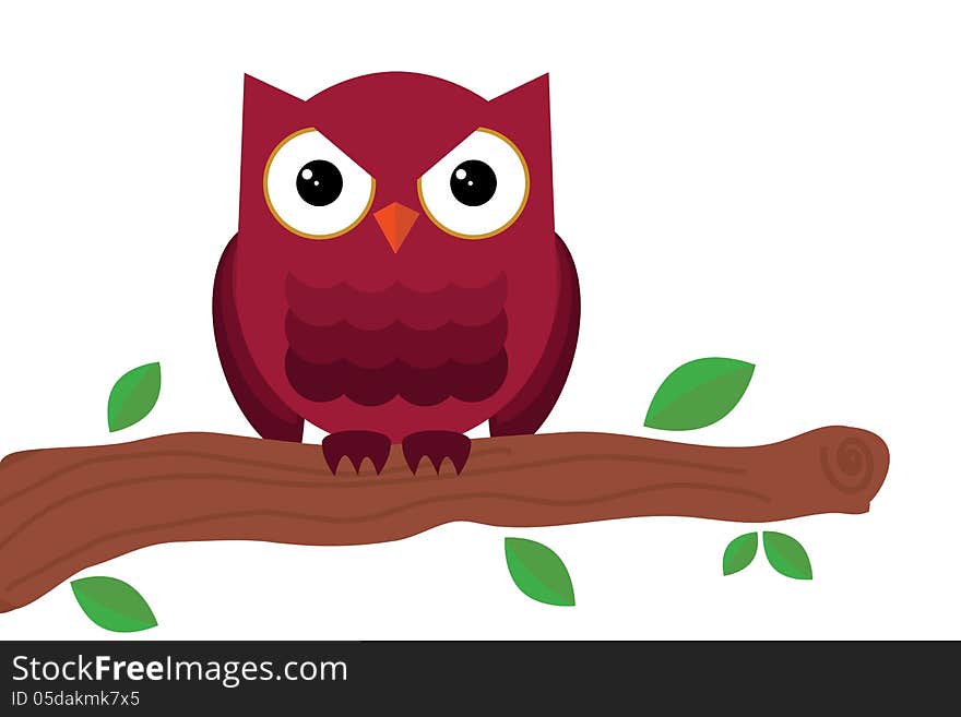 Owl sitting on branch on white background. Owl sitting on branch on white background