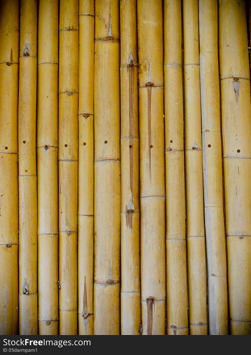 Bamboo Wall