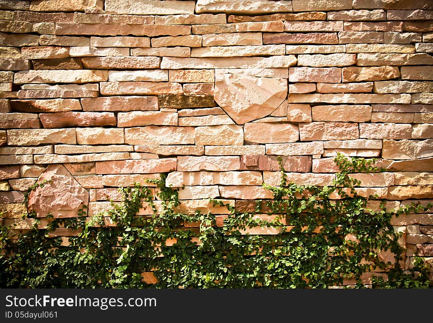 Brown rock brick wall with climber plant. Brown rock brick wall with climber plant