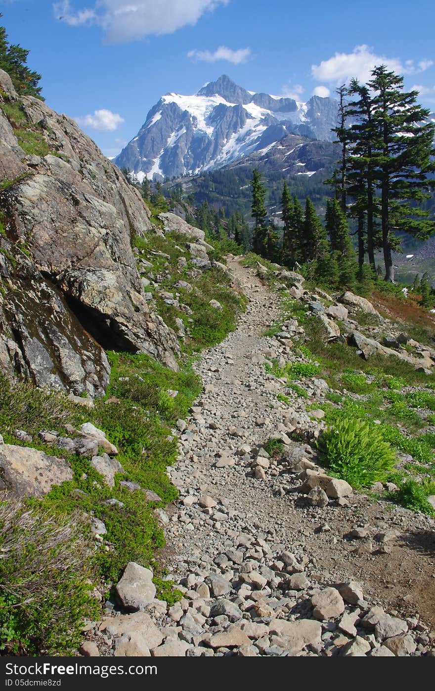 Mount Baker-Snoqualmie National Forest in Washington State. Mount Baker-Snoqualmie National Forest in Washington State