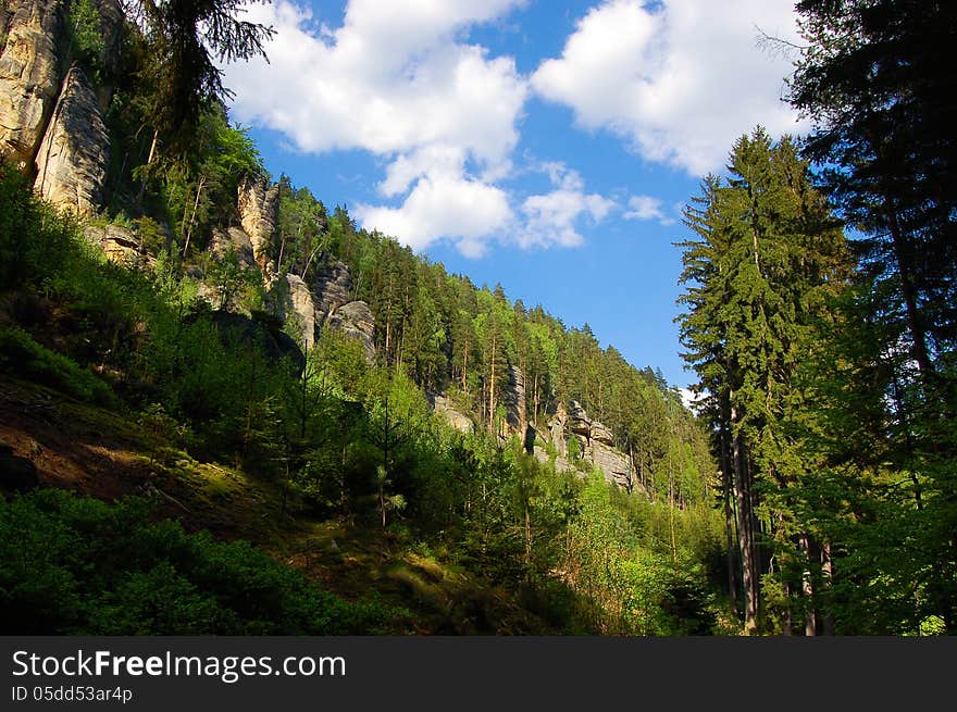 Adrspach mountain rock in summer