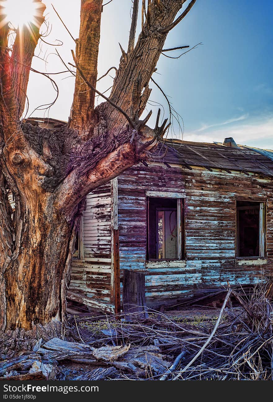 Abanonded tourquoise house in Mojave National Preserve and a dead tree with the sun shining through the branches. Abanonded tourquoise house in Mojave National Preserve and a dead tree with the sun shining through the branches