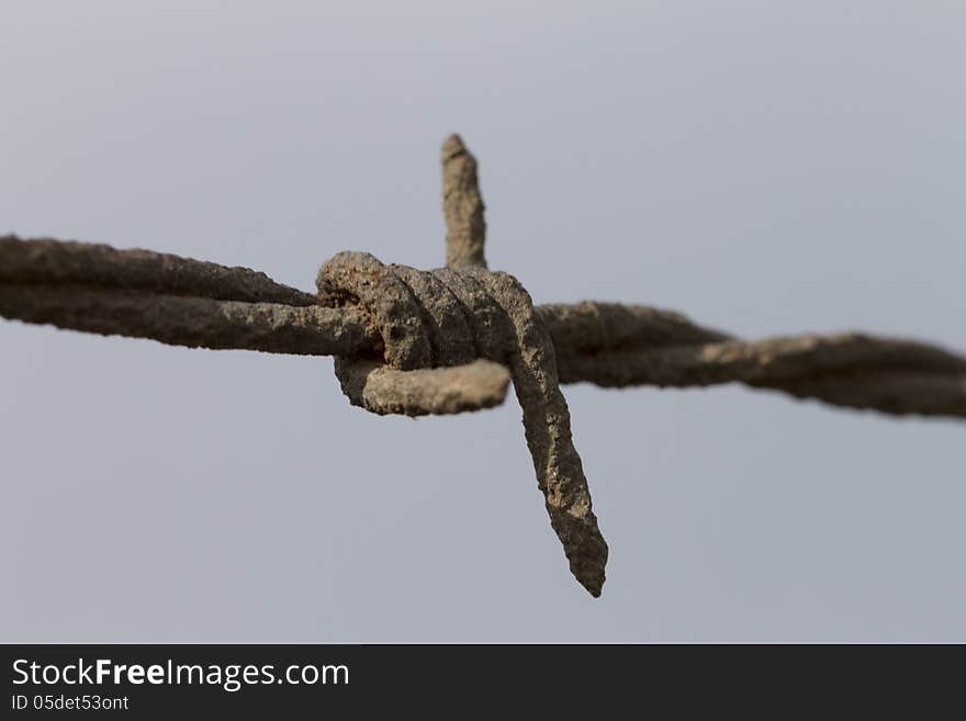 Barbed wire symbolizing the loss of freedom. Barbed wire symbolizing the loss of freedom