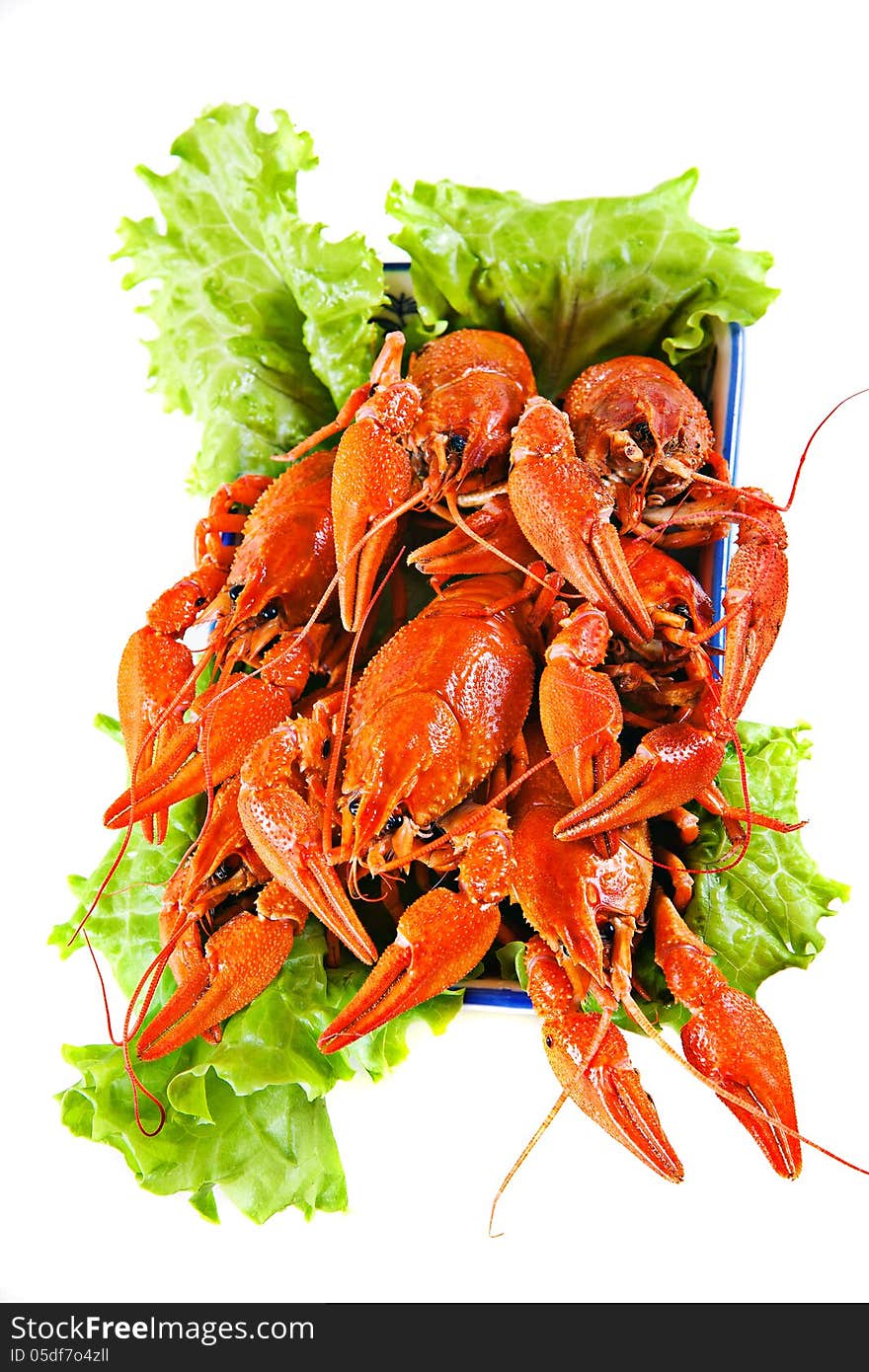 Lobsters with salad