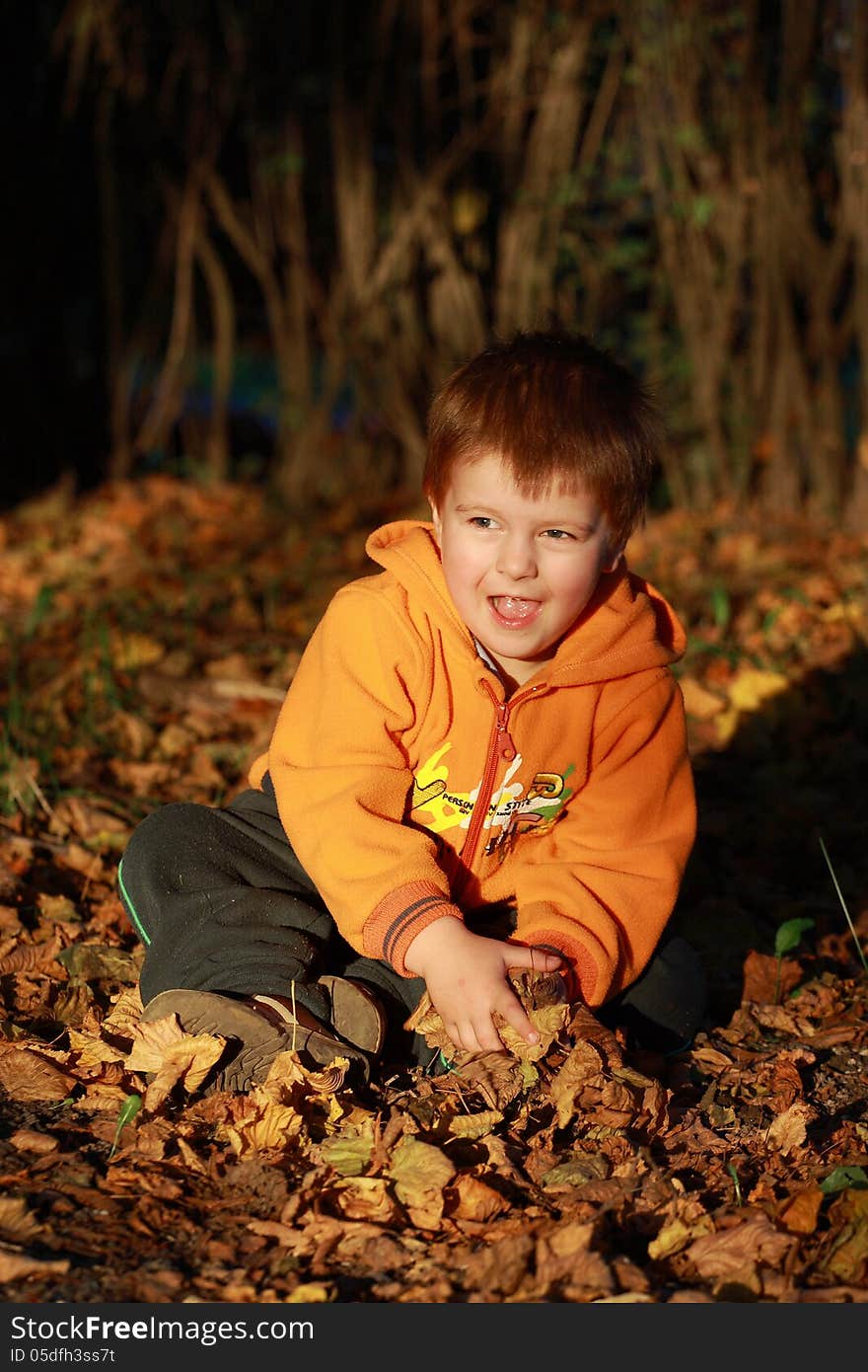 Little boy playing with leaves in the park