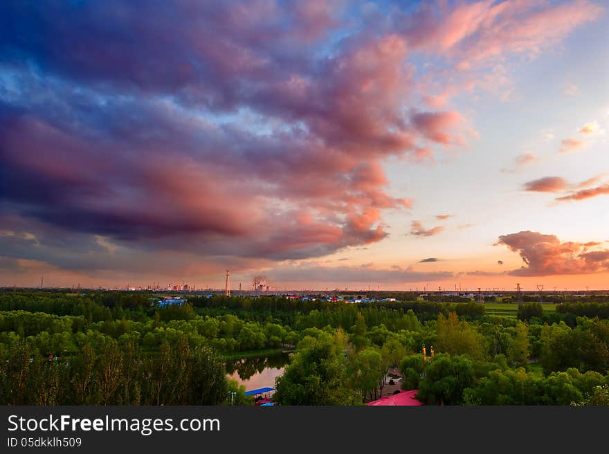 Sunset Glow Of Park