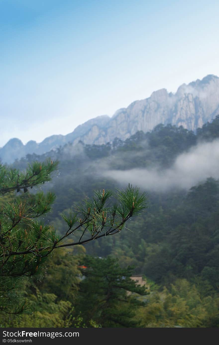 China's Huang Shan mountain and pine and cypress.