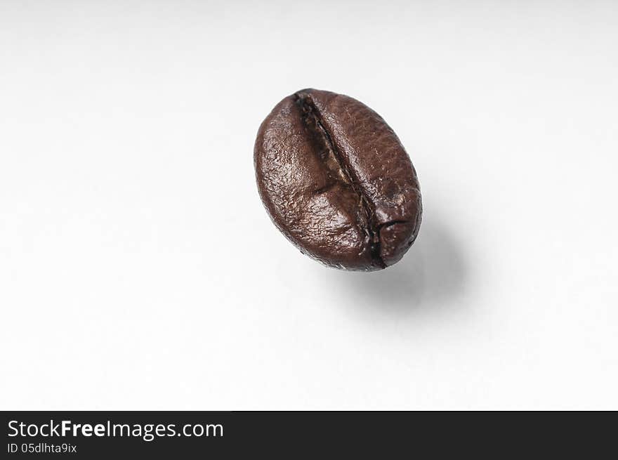 Coffee bean on a white background