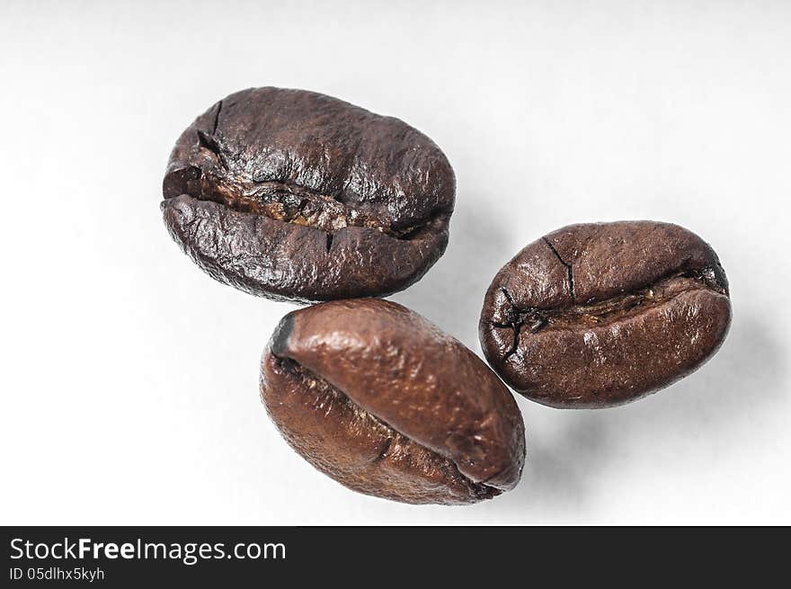 Coffee bean on a white background