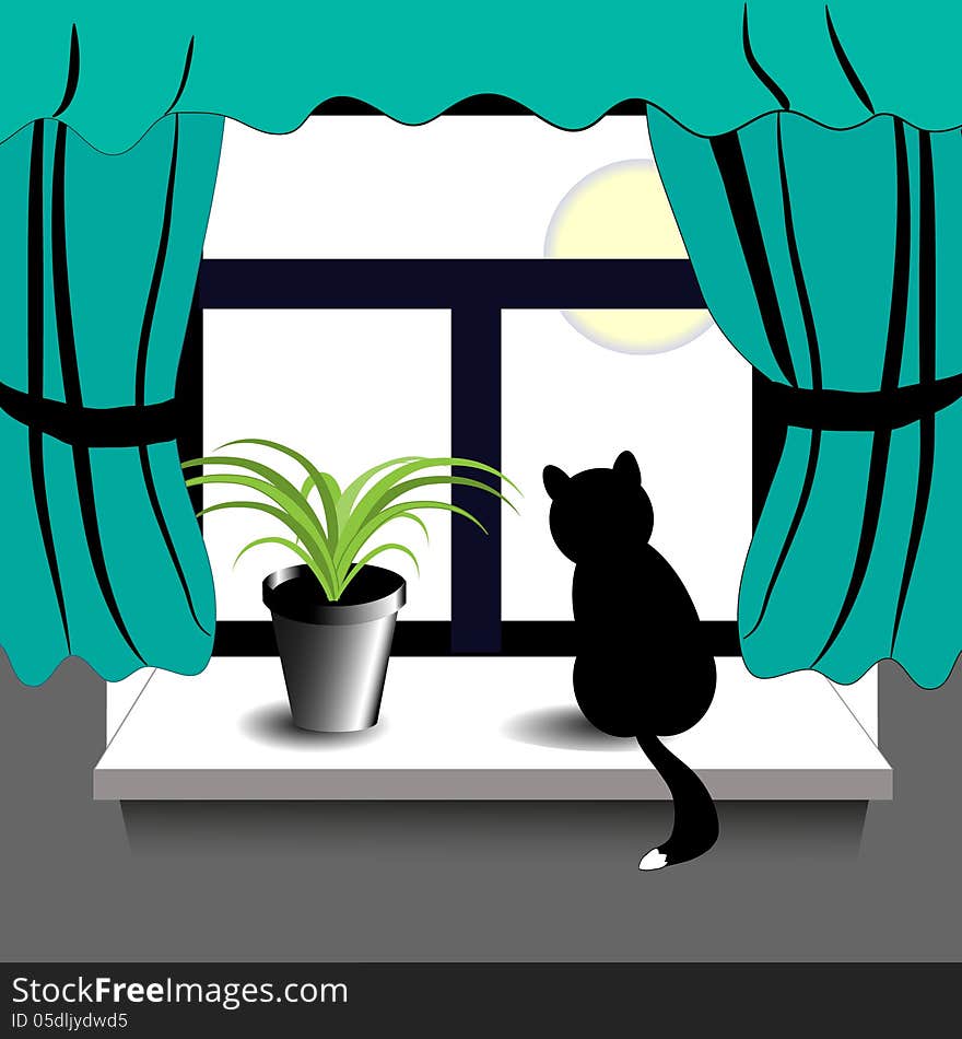 Black cat and green plant on the window. Black cat and green plant on the window