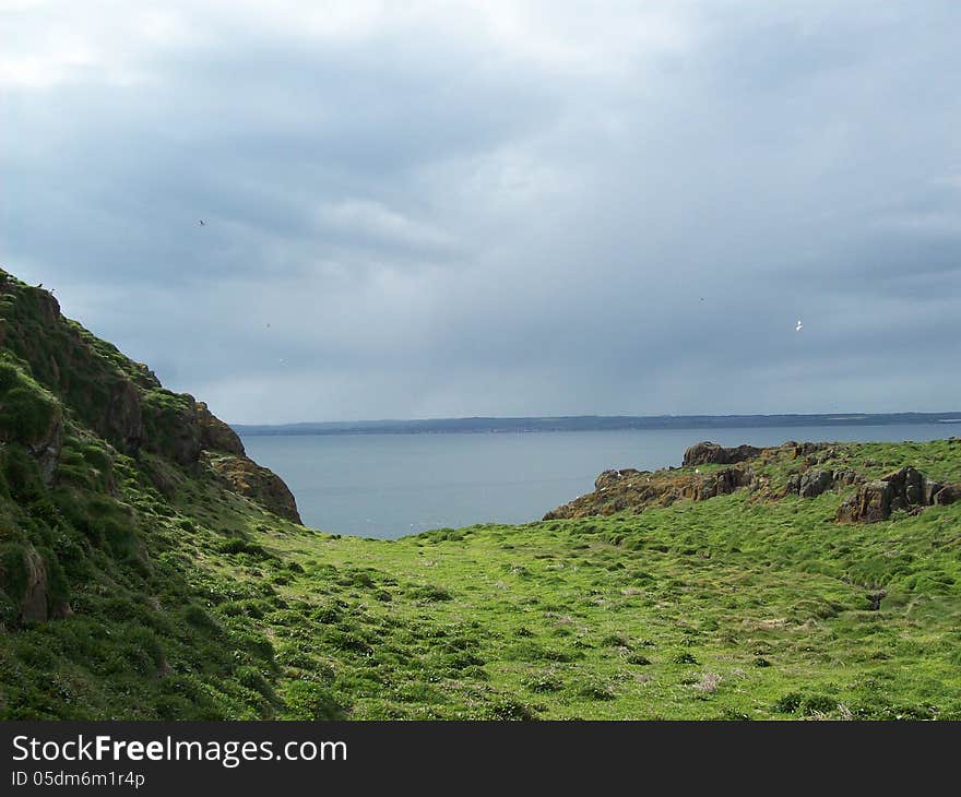 Green Island and Ocean