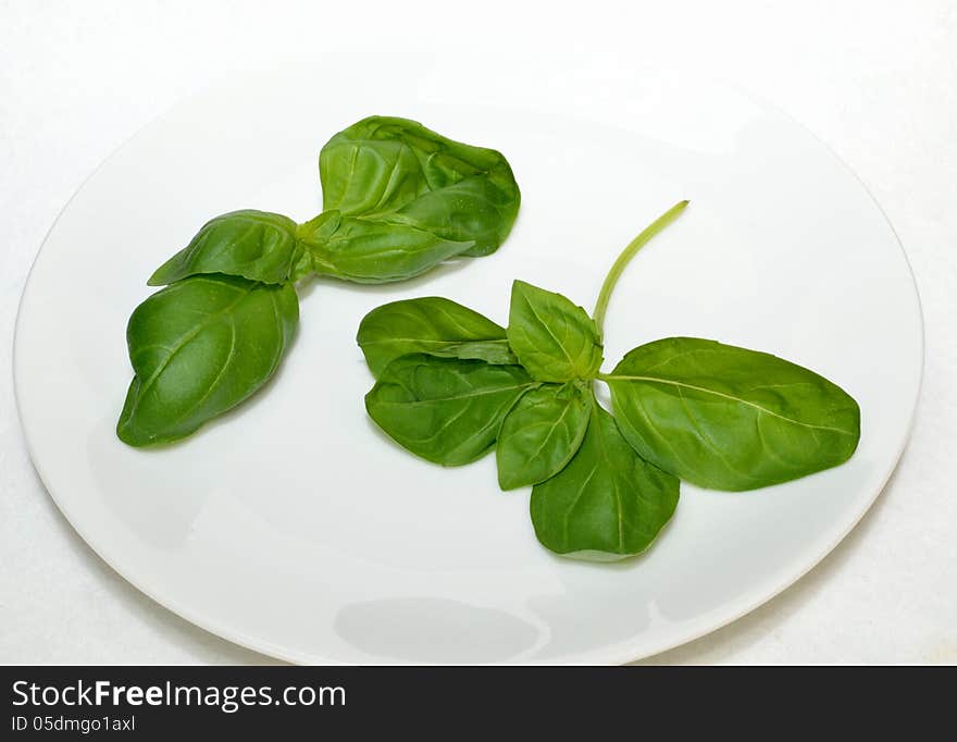 Basil leaves