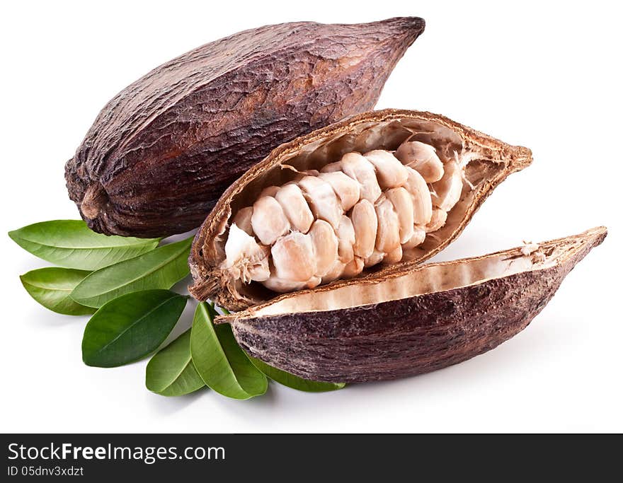 Cocoa pod on a white background.