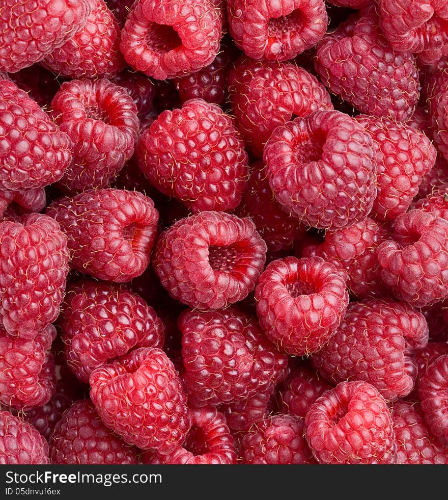 Raspberry Close-up.