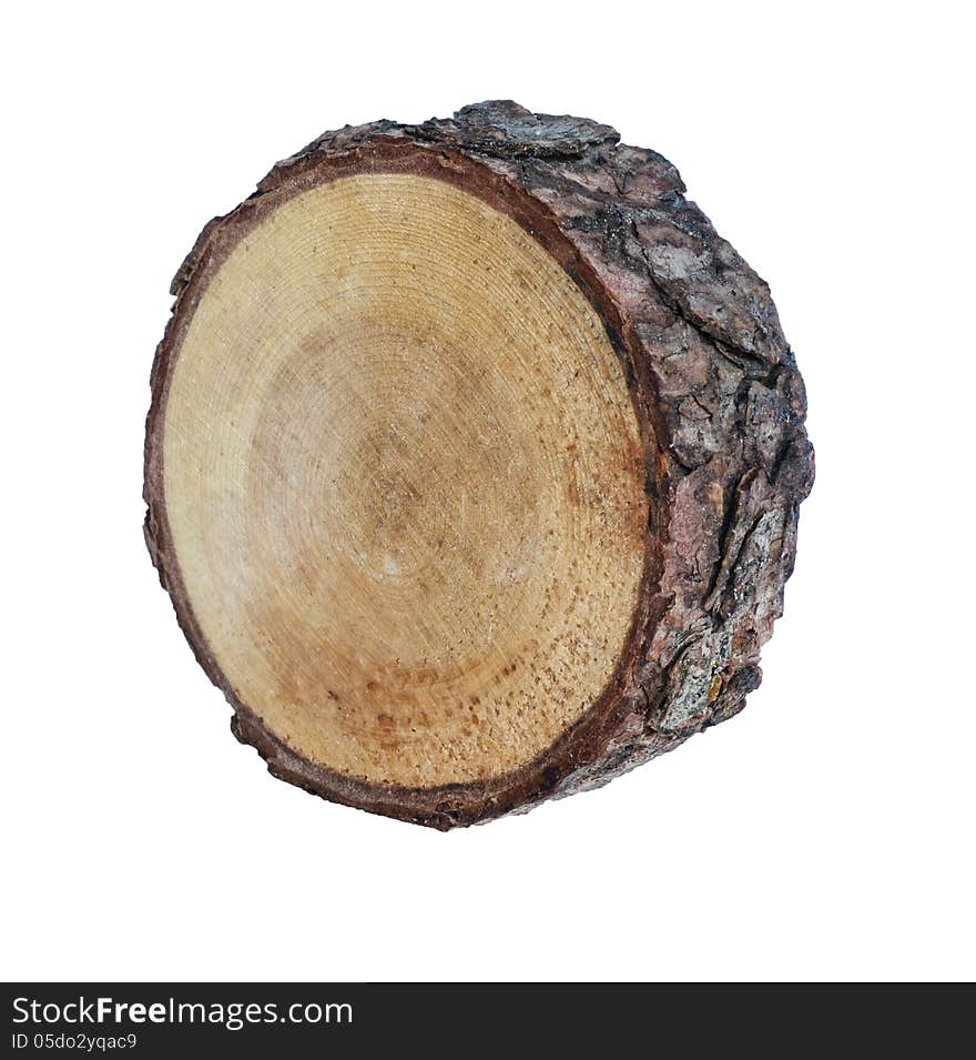 Stump on a white background