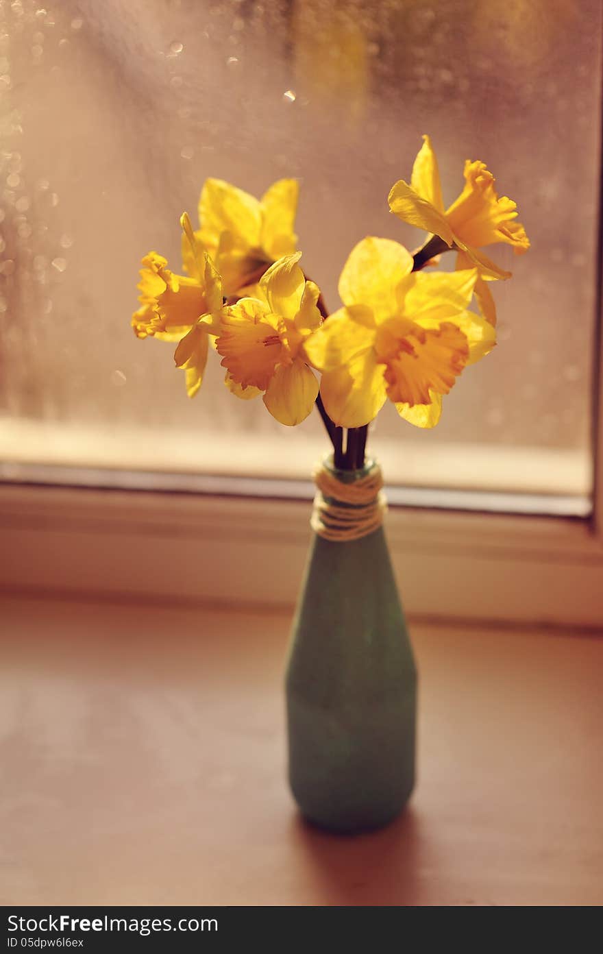 Against the wet glass window is a vase of yellow daffodils. Against the wet glass window is a vase of yellow daffodils