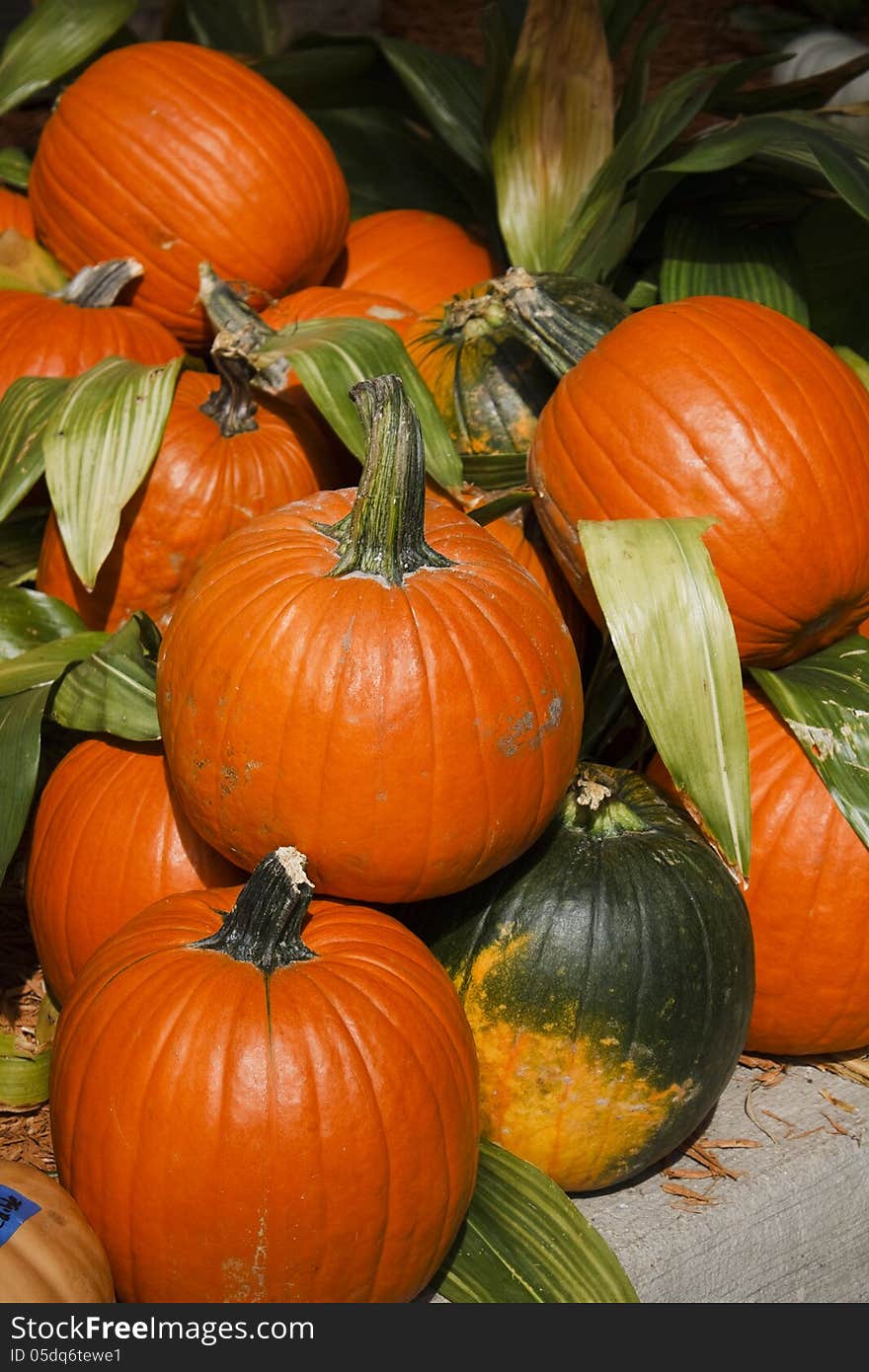 Colorful pile of pumpkins from a vendor at a Farmer's market. Colorful pile of pumpkins from a vendor at a Farmer's market.