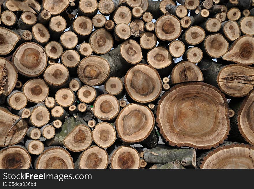 Walnut wood in the form of stacked logs