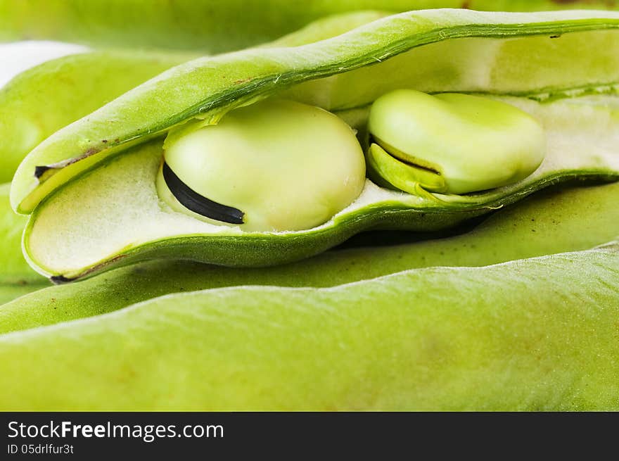 Broad beans in a pod in details