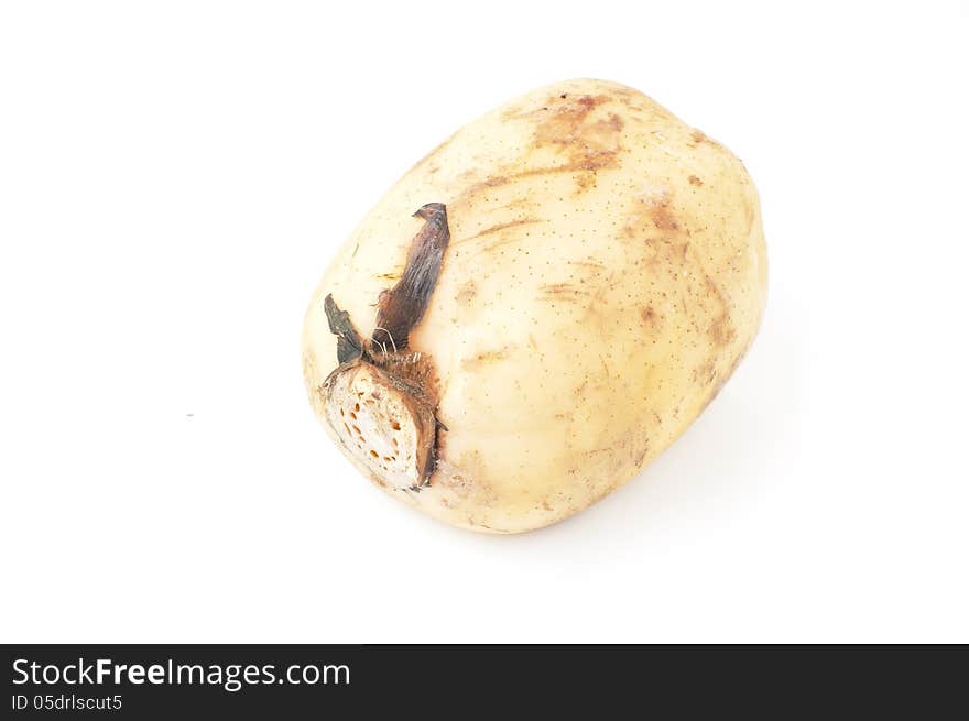 Raw lotus root isolated on a white bakcground