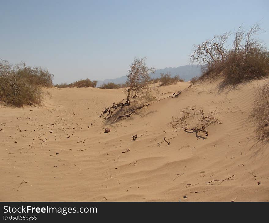 Sand dunes in Arava desert. Sand dunes in Arava desert