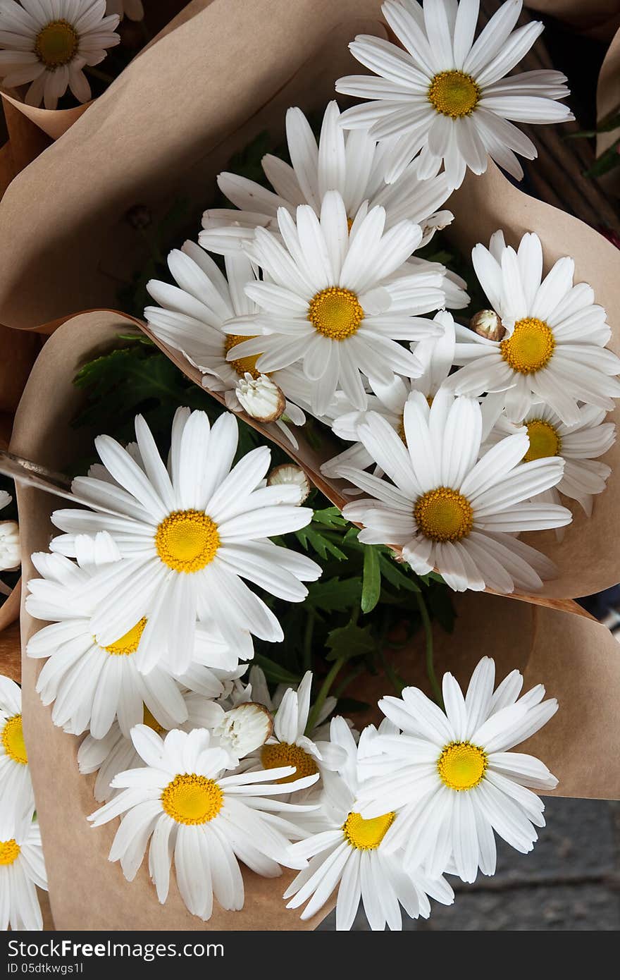 Beautiful flowers in flower shop