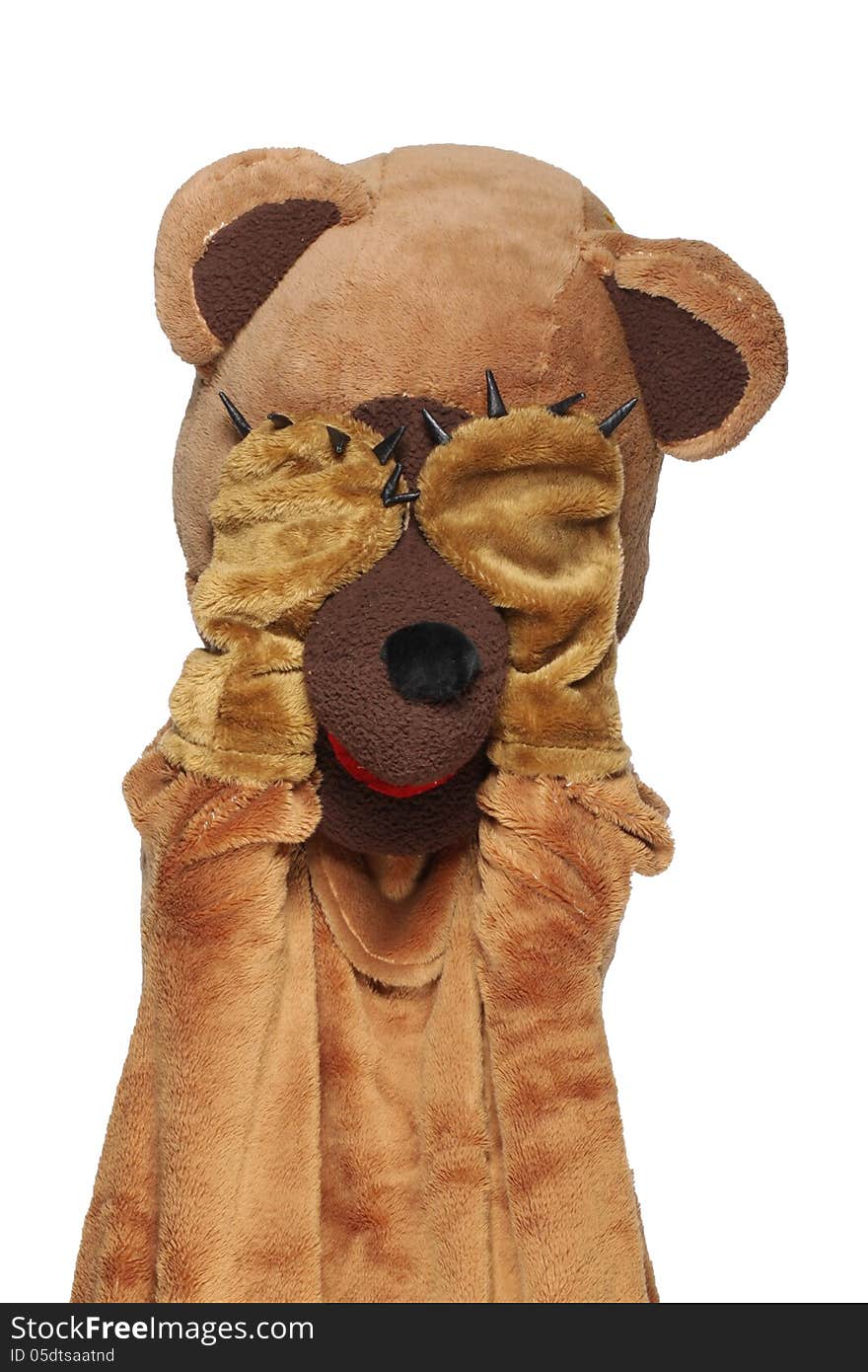 Funny bear costume