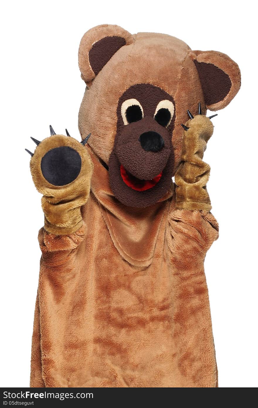 Funny Bear Costume